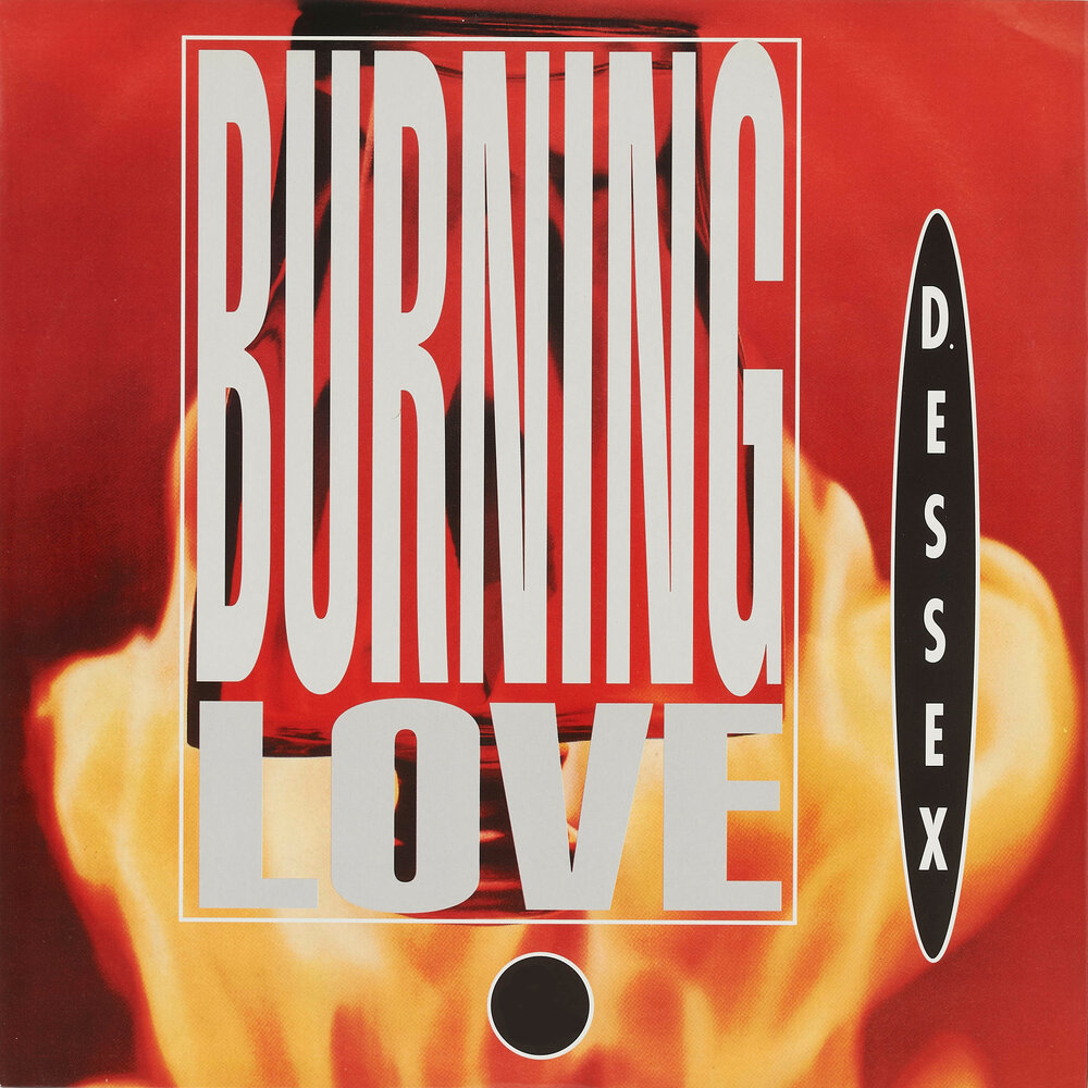 Песня love burn. Burning Love. D.D. Sound — Burning Love обложка альбома. Esseks альбом. Leila – Burning lover.