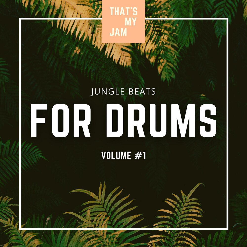 Jungle beats