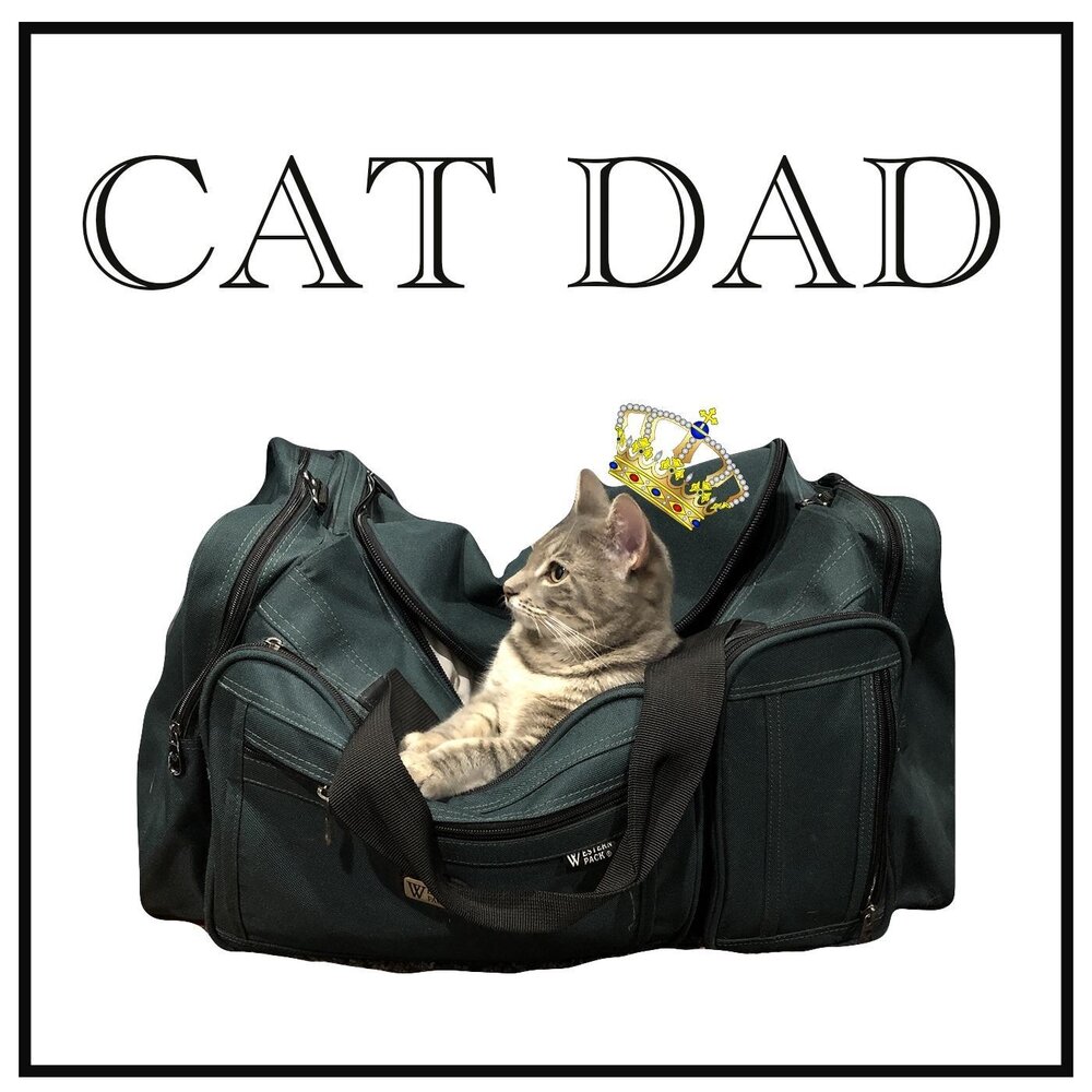 Dad Cat. Daddy Cat. Cat Daddy Mateo. Cat daddy