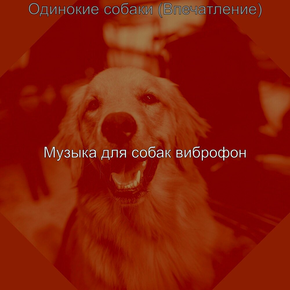 Песня про собаку рок. Славный песик. Песня про собаку. Песни про собак. Песня про псину.