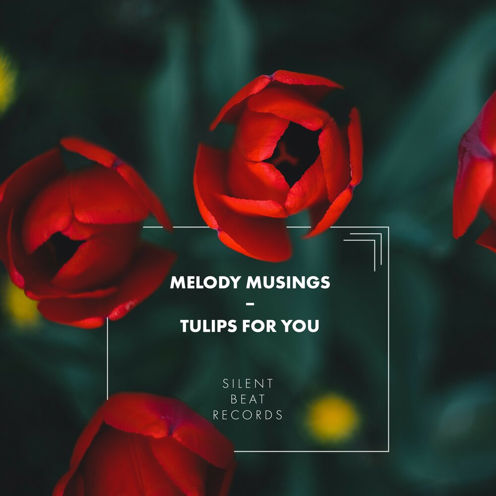 Tulips for you. Тюльпаны музыка. Песня про тюльпаны.