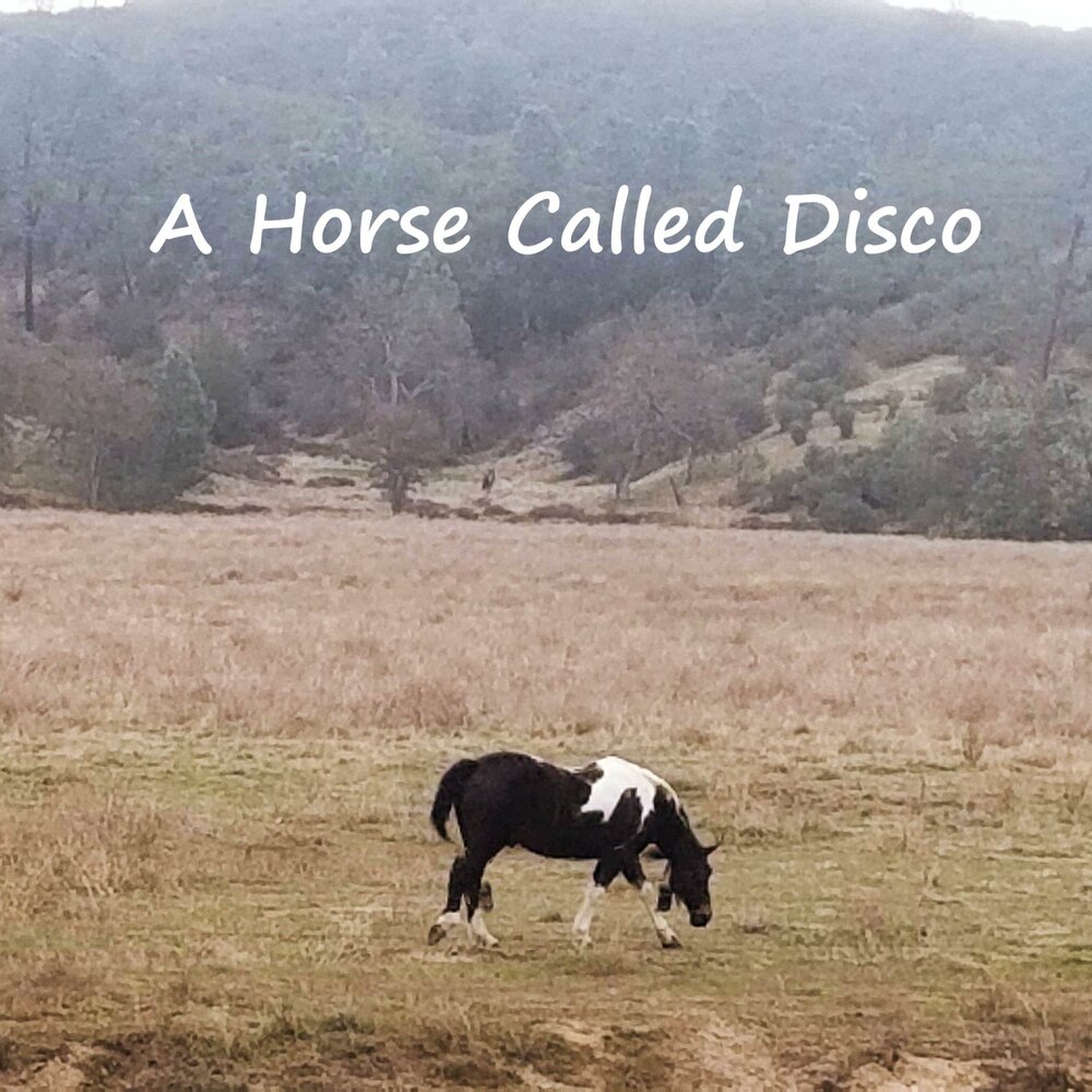 Called horse