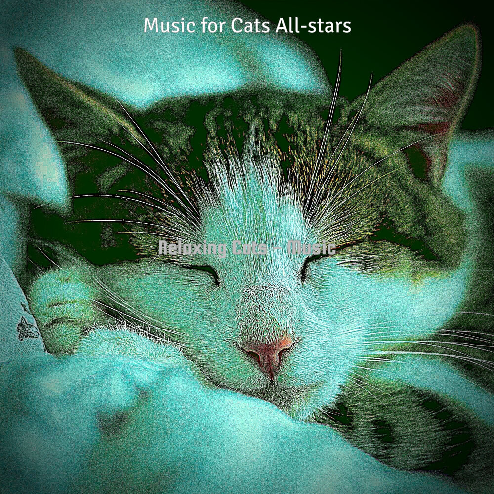 Music for cats. Котенок качается.