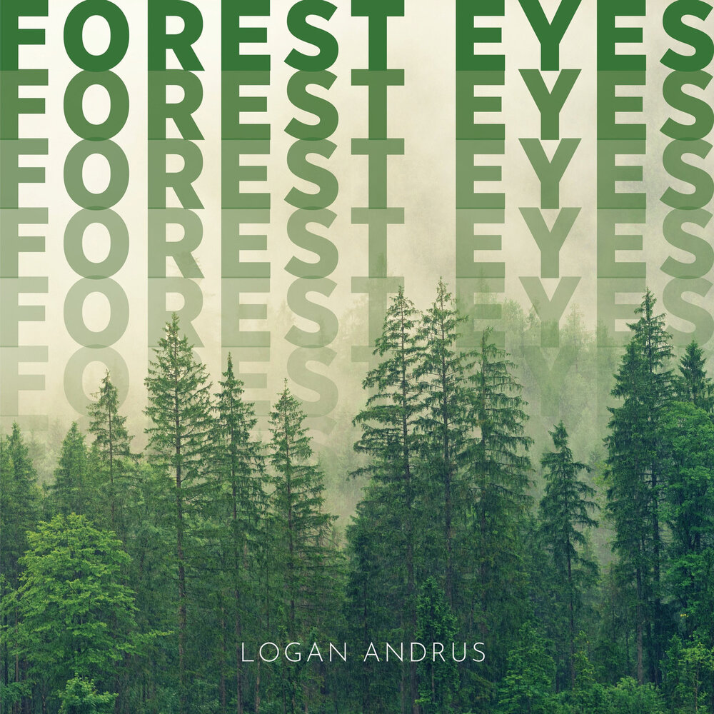 Forest eyes. Eyes of the Forest.