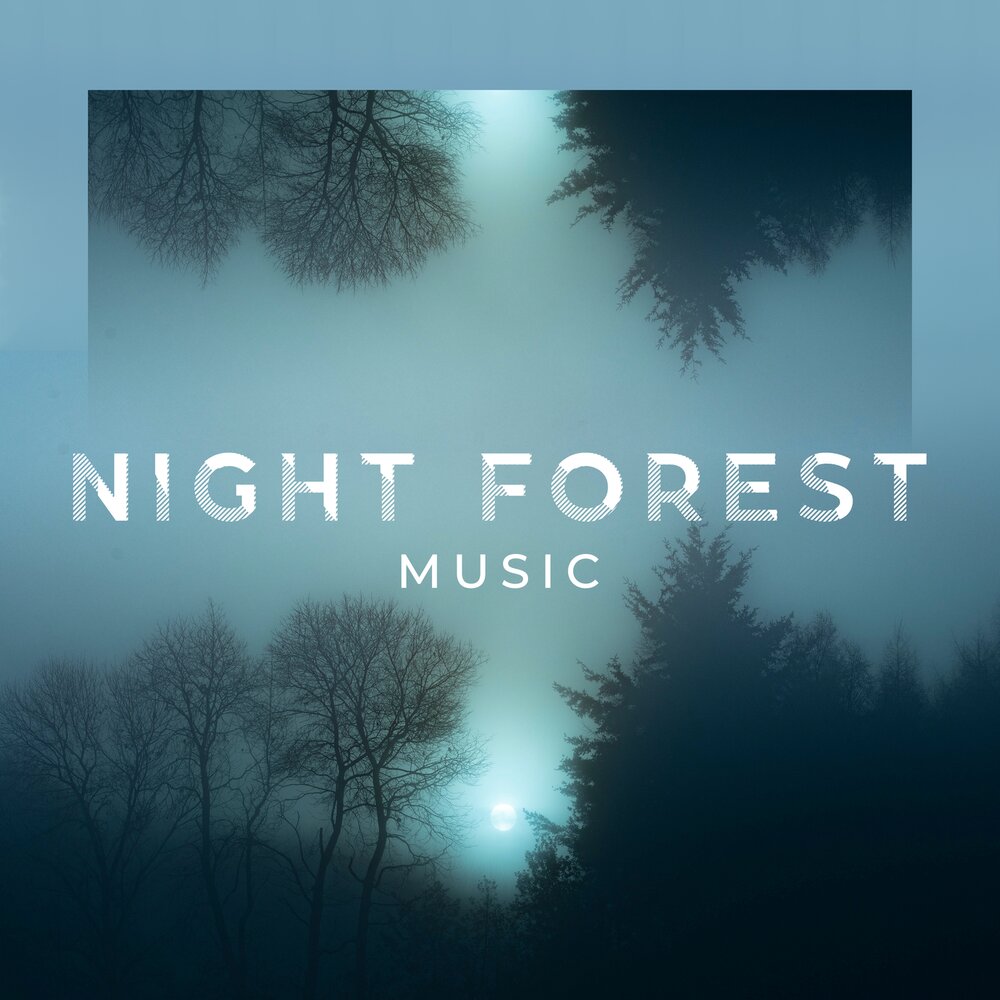 Forest lullaby