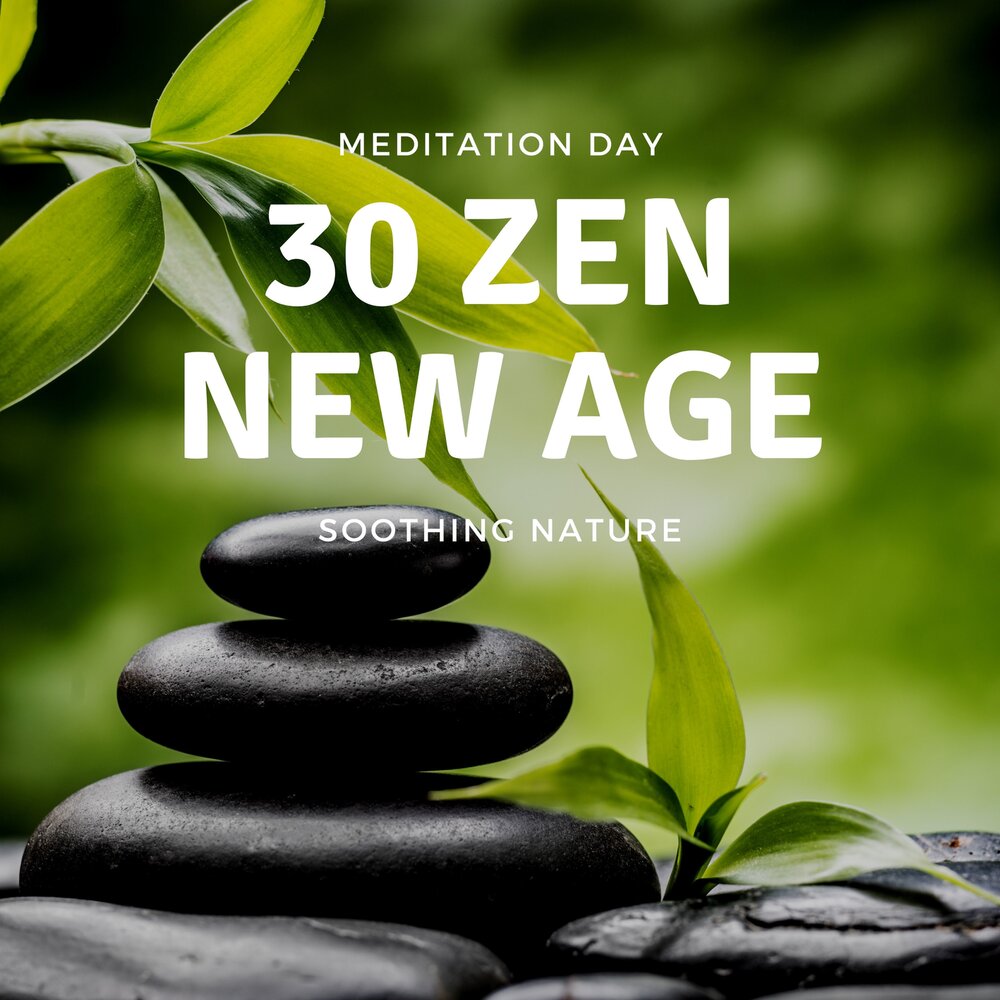 30 дзен. Zen's New. Новая я дзен. Zen New Витубер.