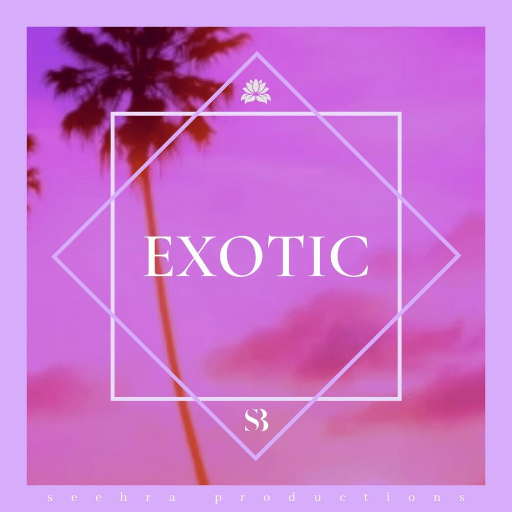 рисунки девочки на острове в джинсах с пальмой. Brothers exotic. Feel exotic. экзотика слушать. Exotica группа.