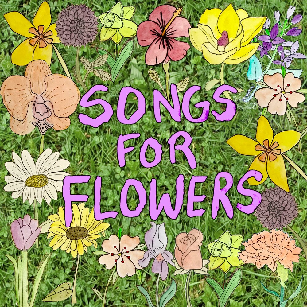 Flowers listening. Цветы слушать. A Home for Flowers Sunflower песня. Флауэрс слушать.