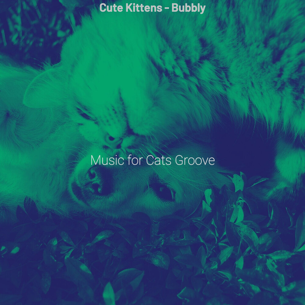 Groove cats once in a. Groove cats once in a lifetime groove. кэт грув. беби тайм groove cats. groove cats once in a lifetime groove bridge tv baby time.