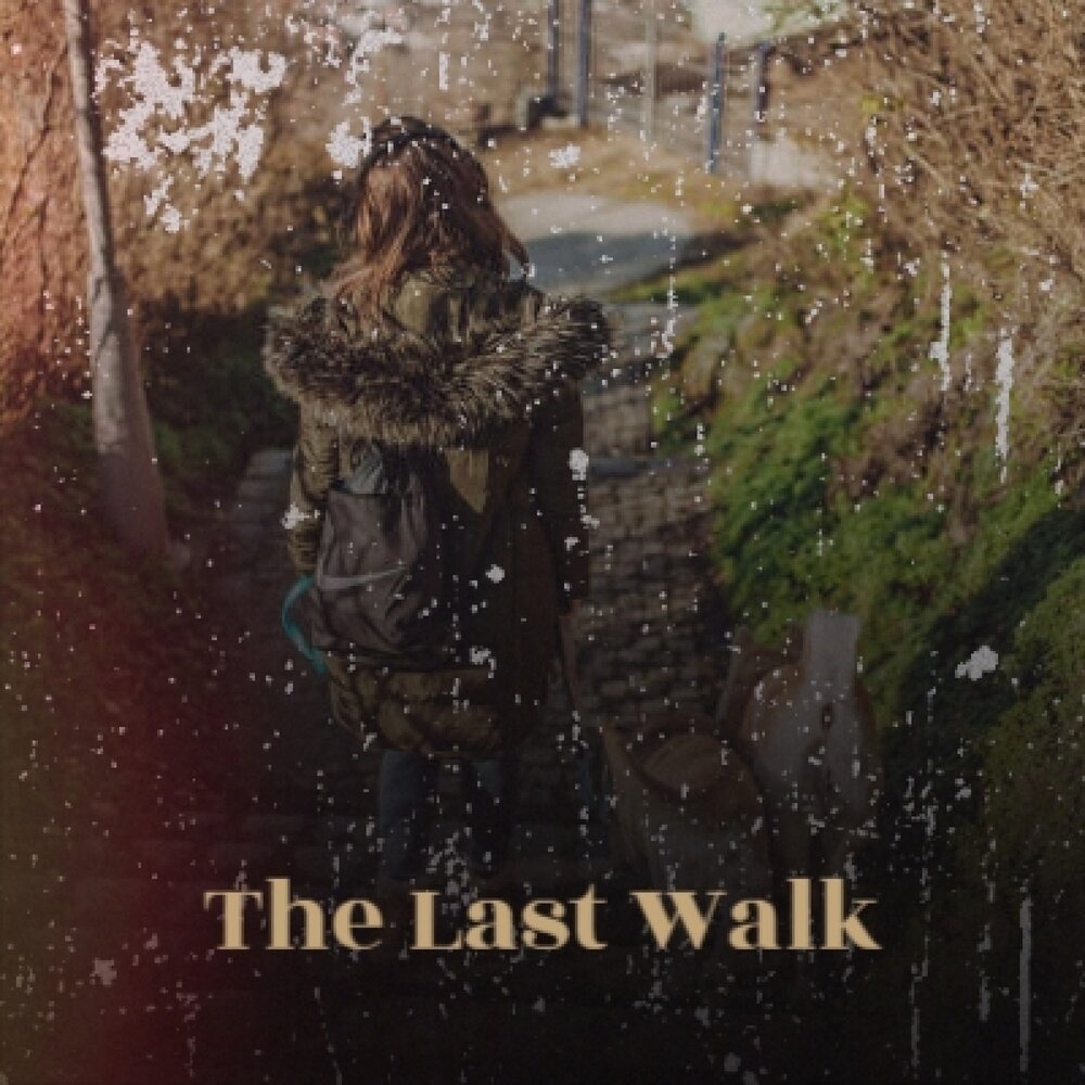 Last walk. Danny home. Blessthefall. Last walk. Thinking lamb.