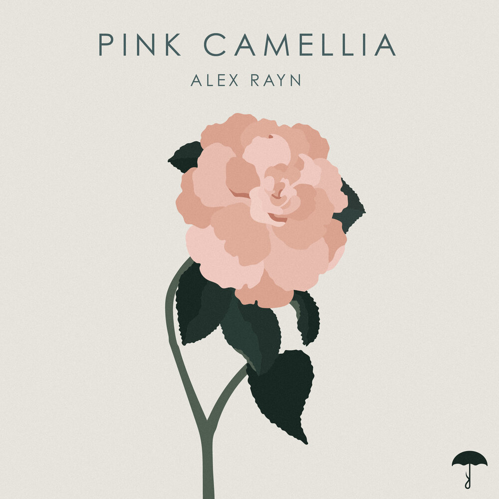 Камелия слушать. Камелия Alex. Альбом Pink dolor.