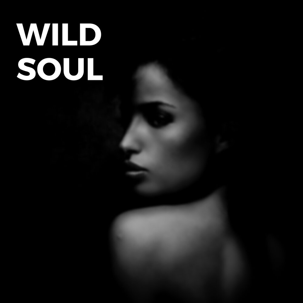 Wild soul. Grazia Salvo Wild Soul картинки.