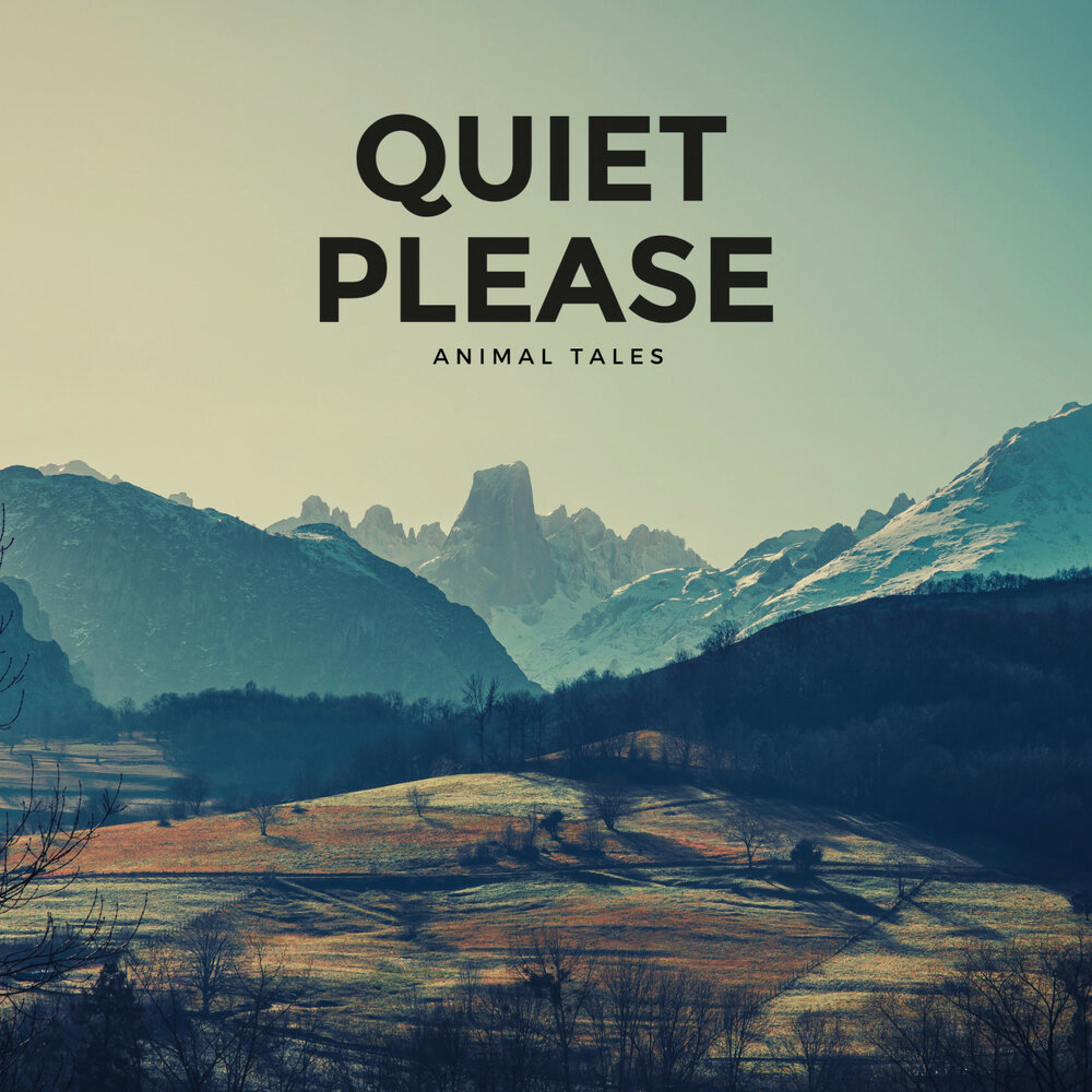 Quiet please. Плиз слушать