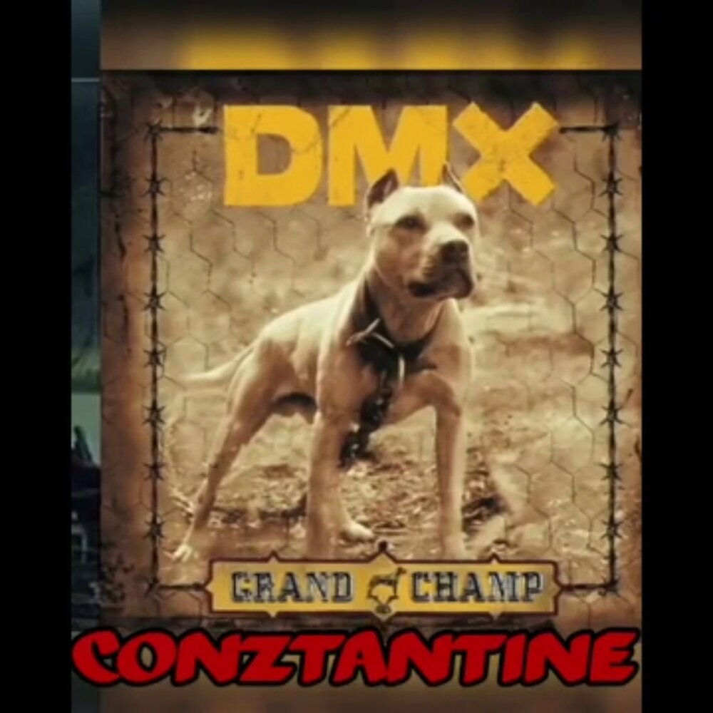 Dmx rain. DMX Grand Champ. DMX С собаками. Ху лет зе догс аут. DMX the Rain.
