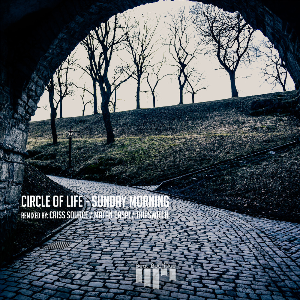 Life is circle. Circle of Life. Circle of Life исполнители. Circle of Life текст. Karadjordje circle of Life.