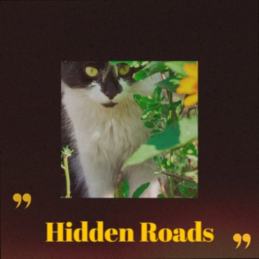 Hidden roads. Hidden roads