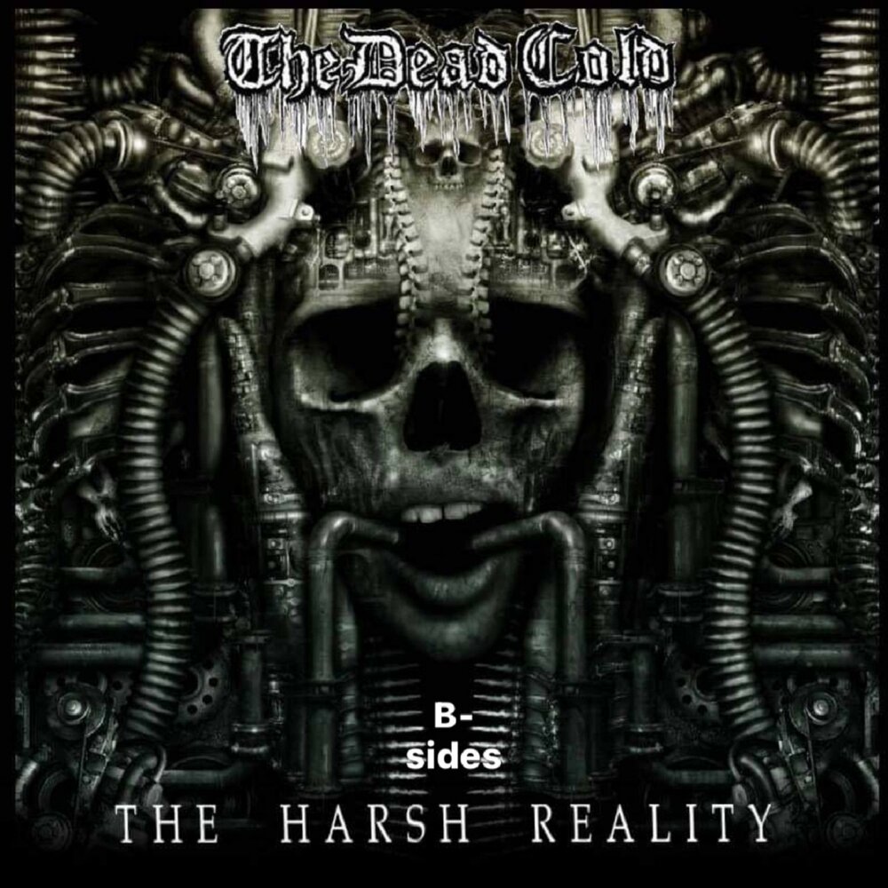 Dead cold. Harsh reality discography. Metal Queen - (b - Sides & Rarities) 2007.