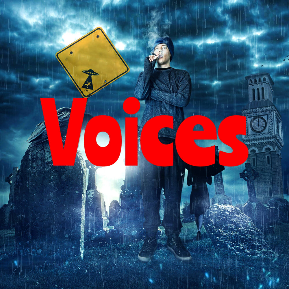 Джонни Voice.