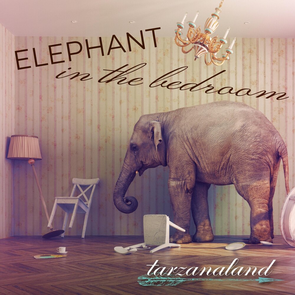 Слон альбом. Песня про слона. Elephant in the Room.