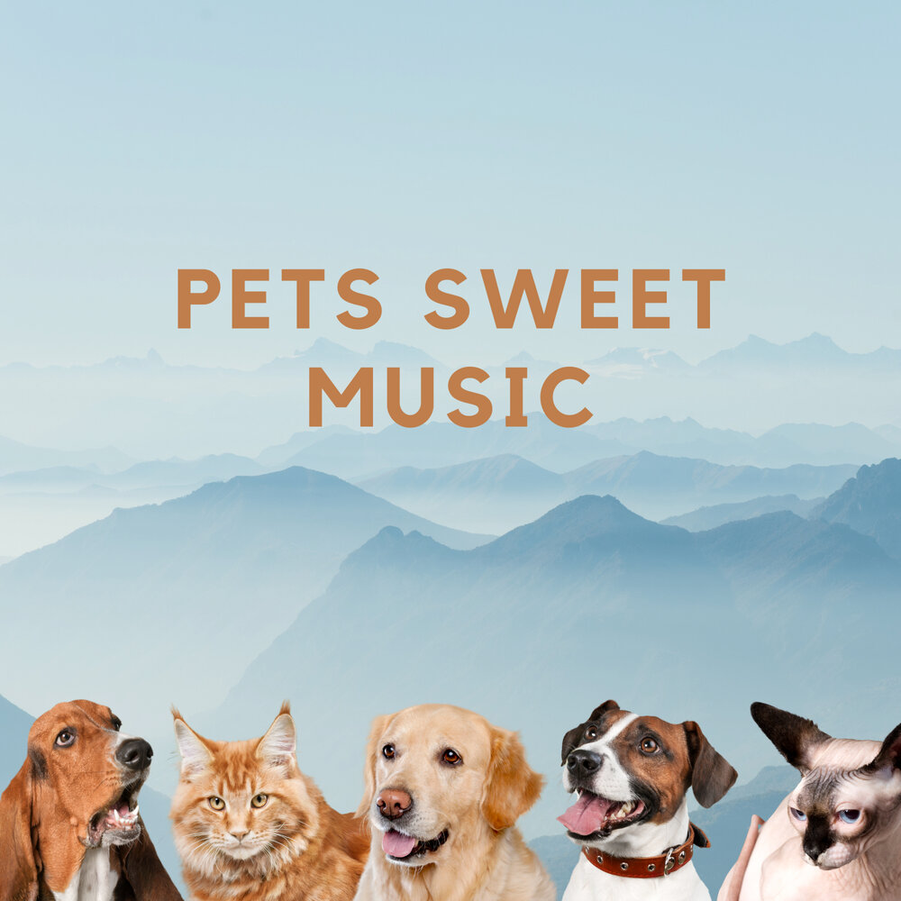 Pets музыка