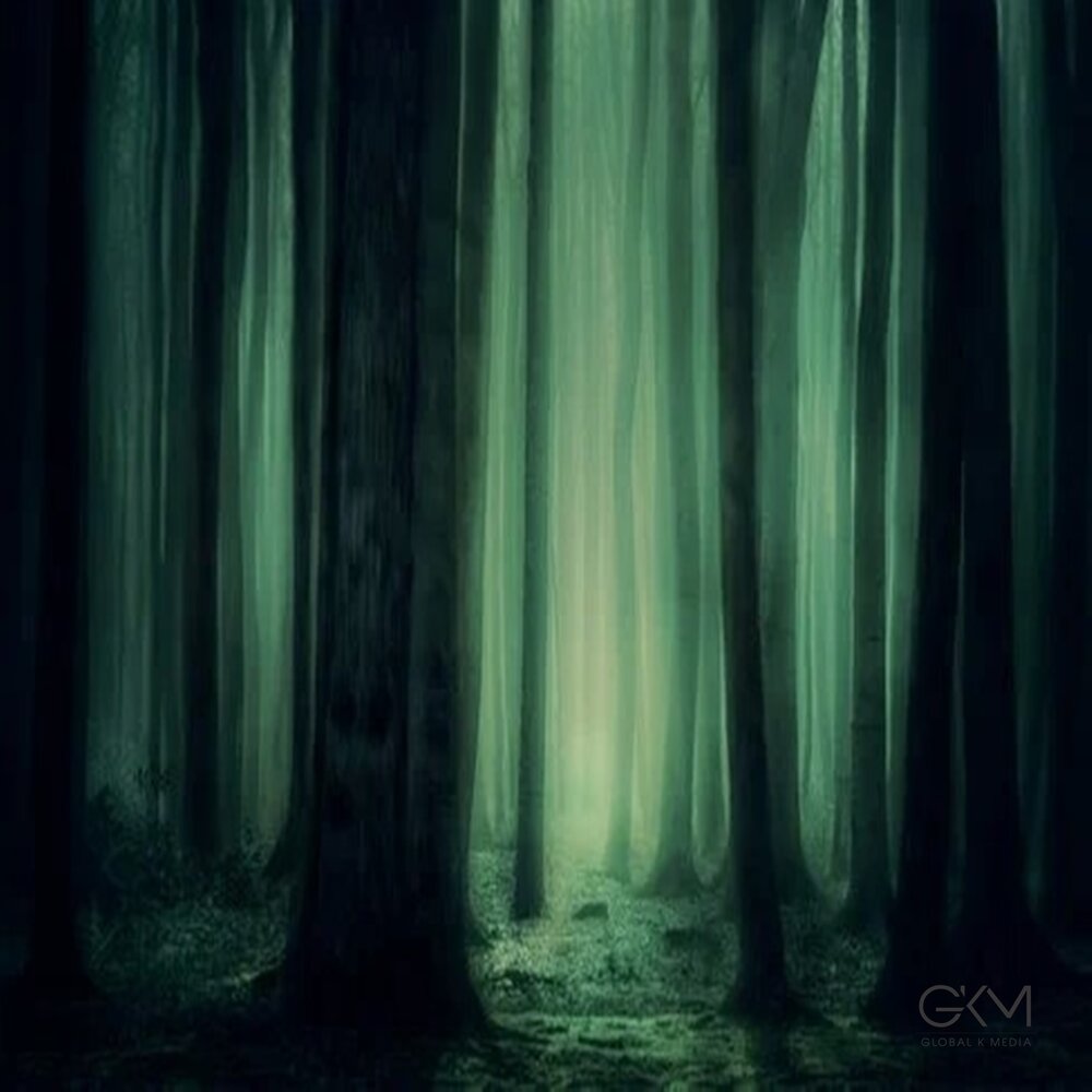 Тени в лесу