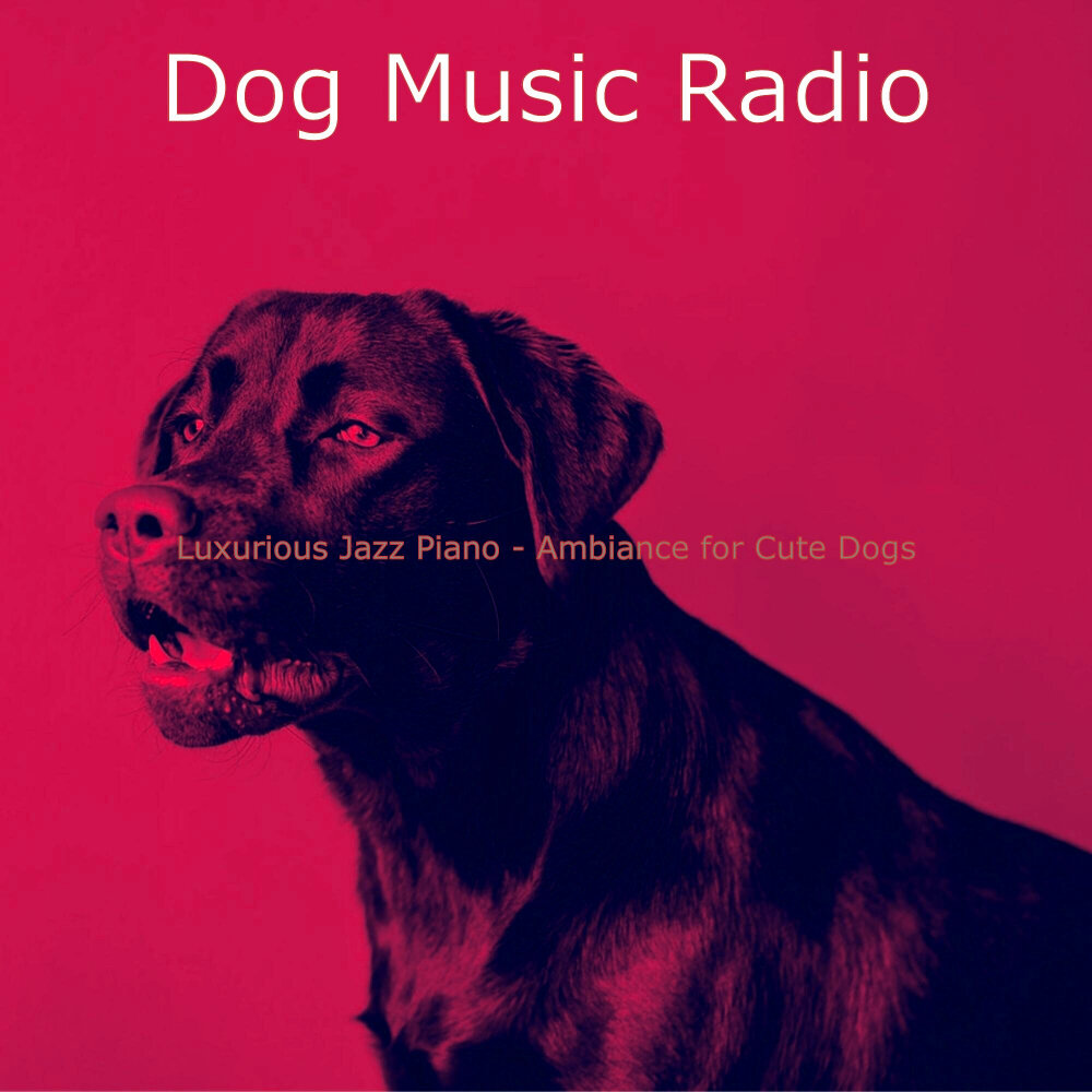 Животные с наушниками. "электронная лающая собака "securedog". Снов дог музыка слушать. Звук на который реагируют собаки. Звук привлекающий собак слушать.