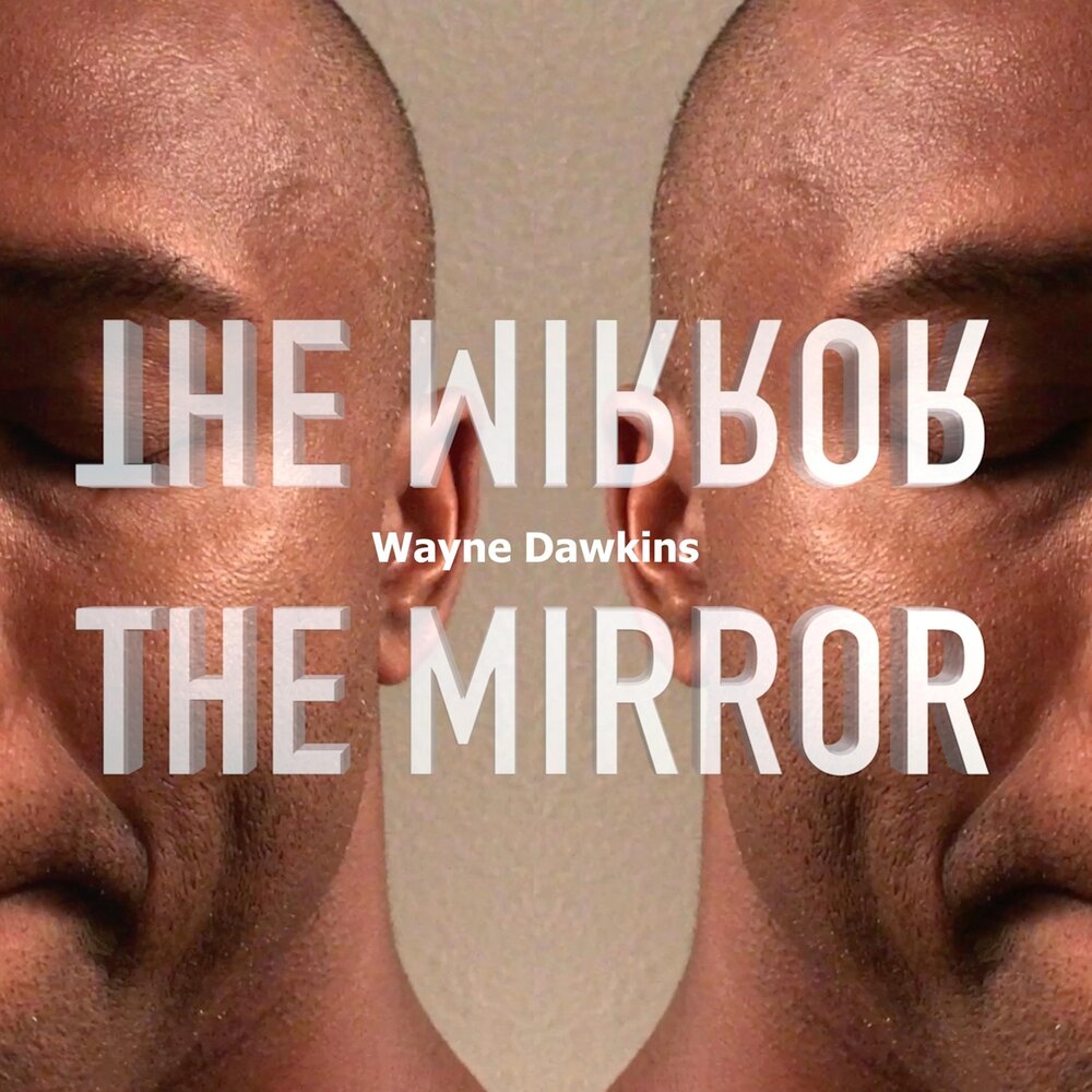 Wayne mirror