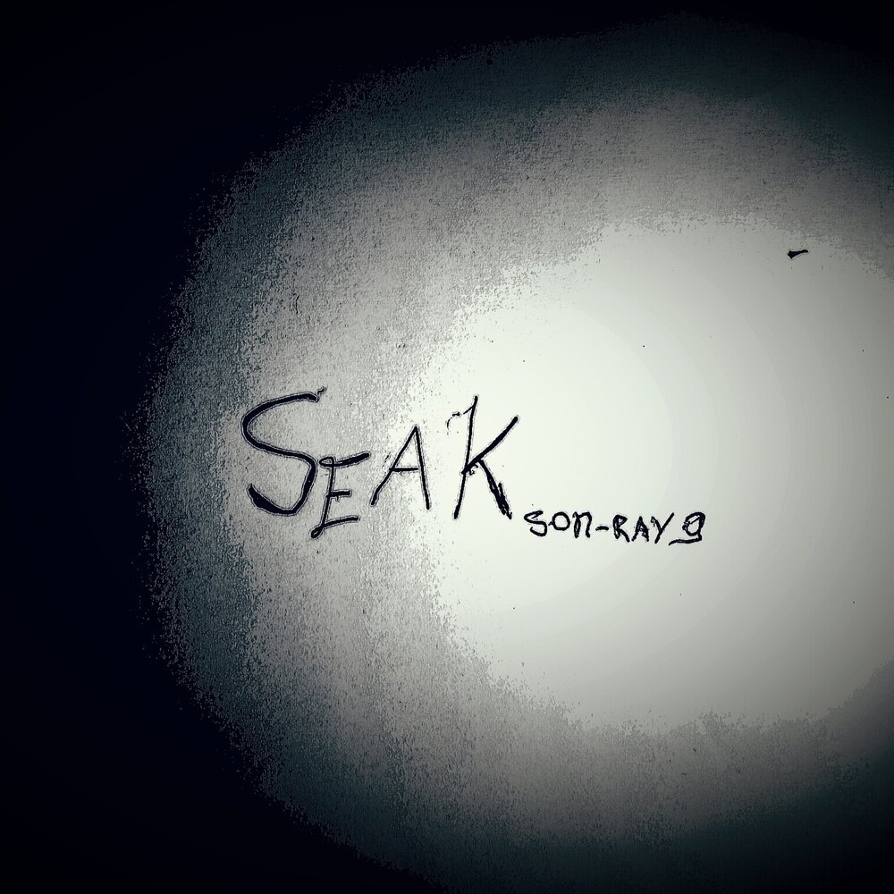 Seakeeper. Seak. Seak. Tboon seak. Scott adams painting.