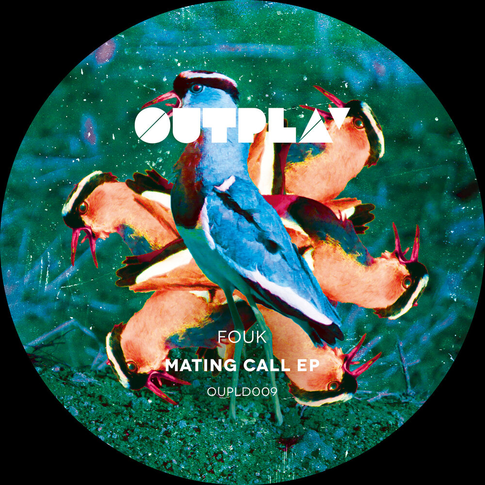 Mate call. Mating call. fouk.