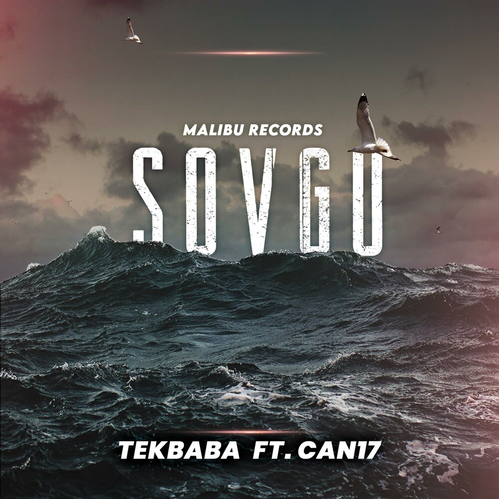 Can 17. Can 17. Vag провод. вага для кабеля. контейнер brute 75.