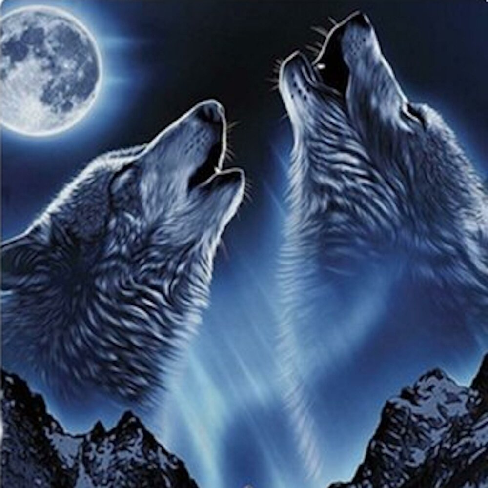 Del lobos. Wolf Howl Sound Effect.