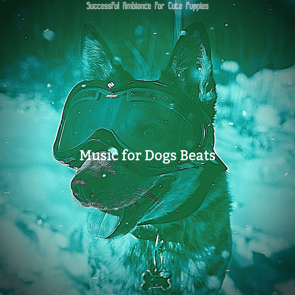 Dog beats
