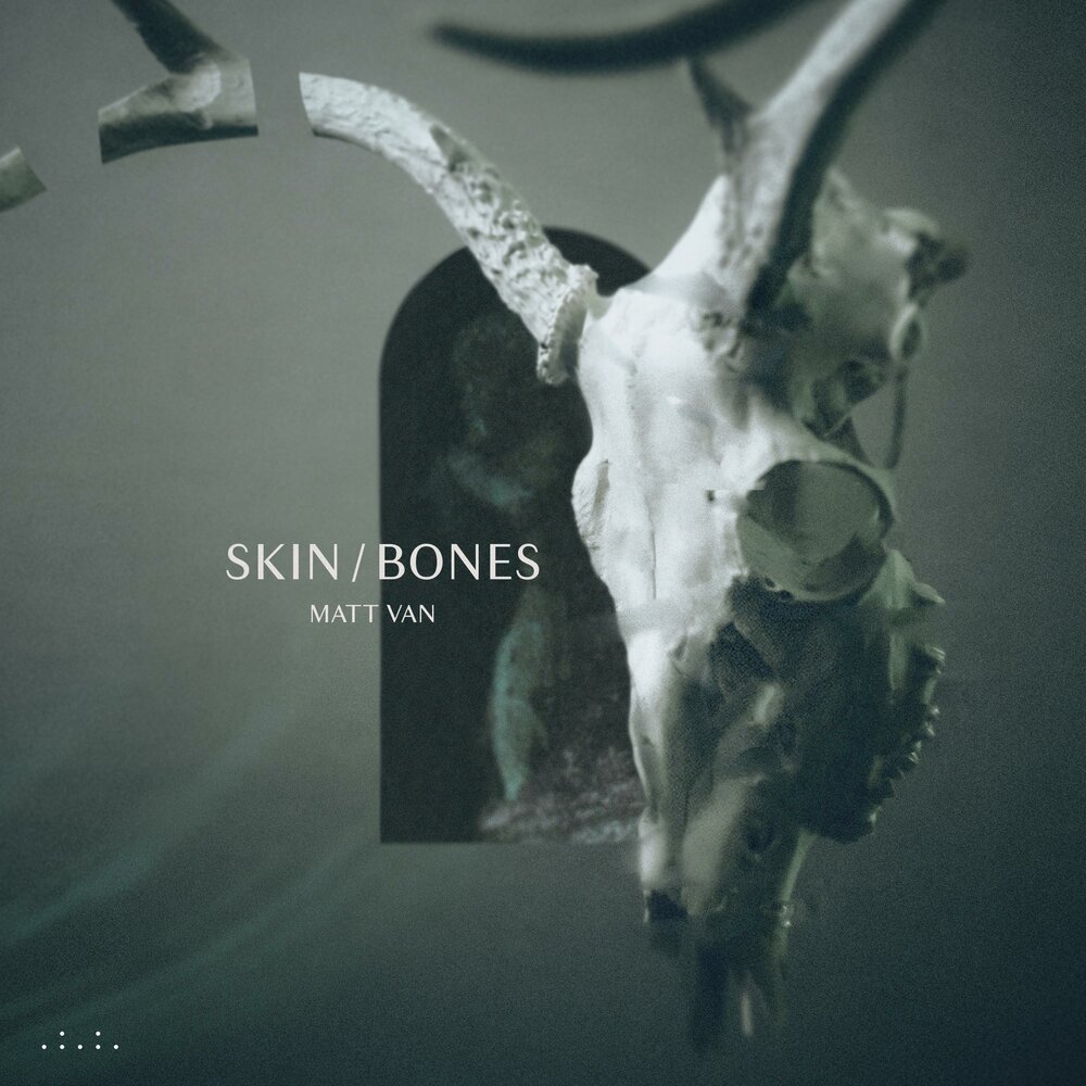 Skin and bones david. Bones обложка трека. Skin and Bone. Bones обложка альбома 2020. Bones skinny.