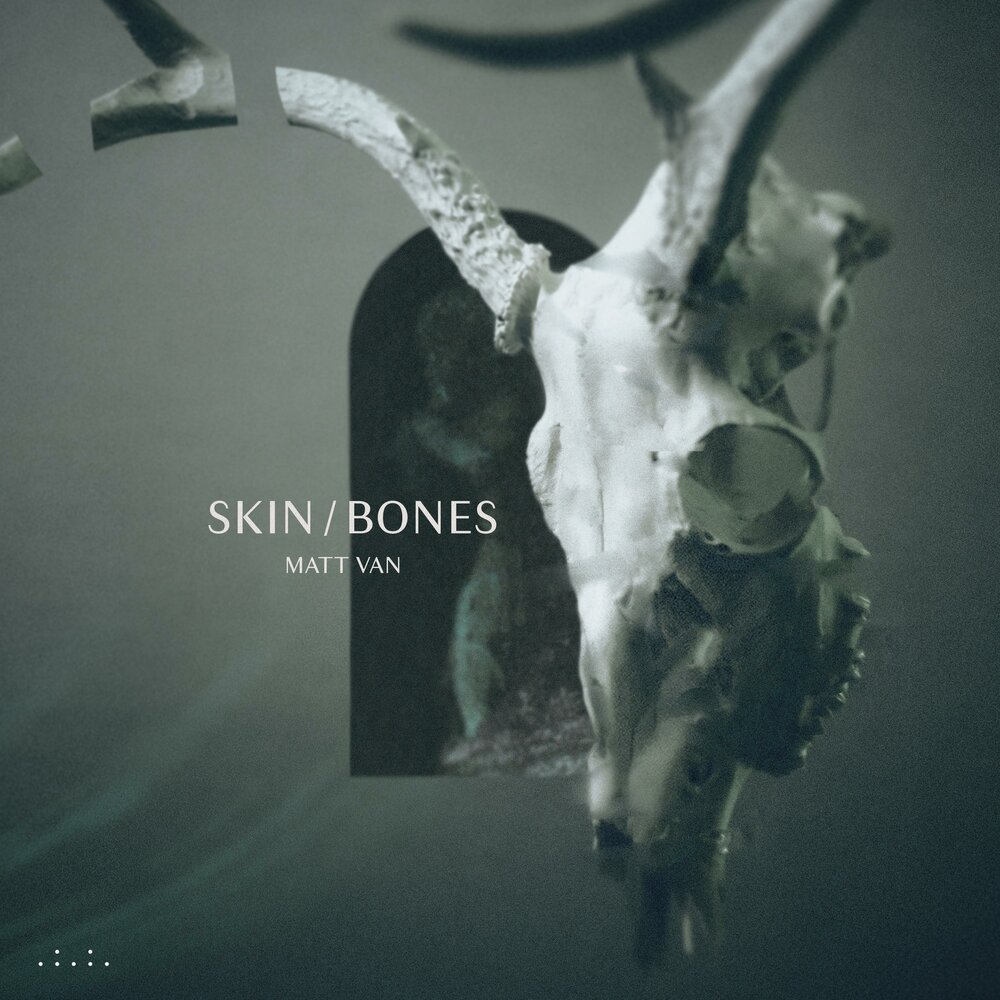 Skin and bones david