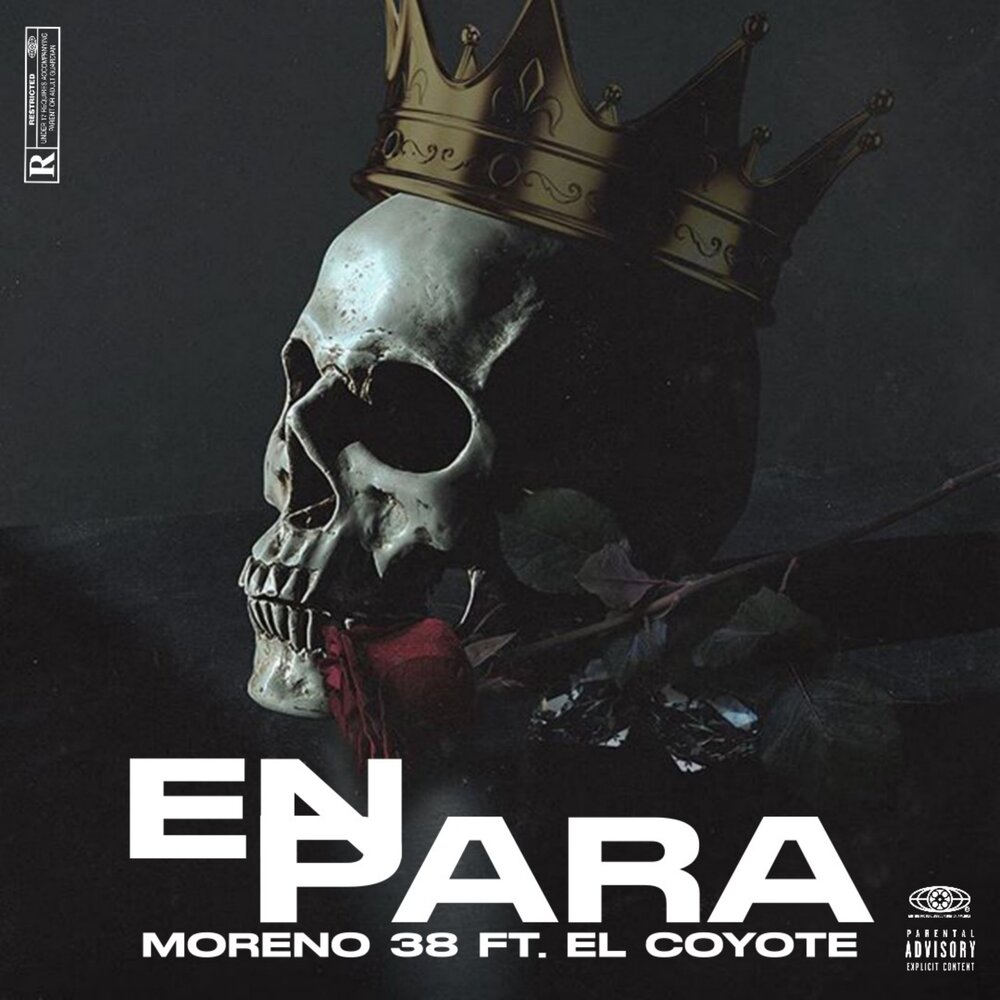 El Coyote: все альбомы, включая «En Para», «La Millonaria», «La NG» и други...