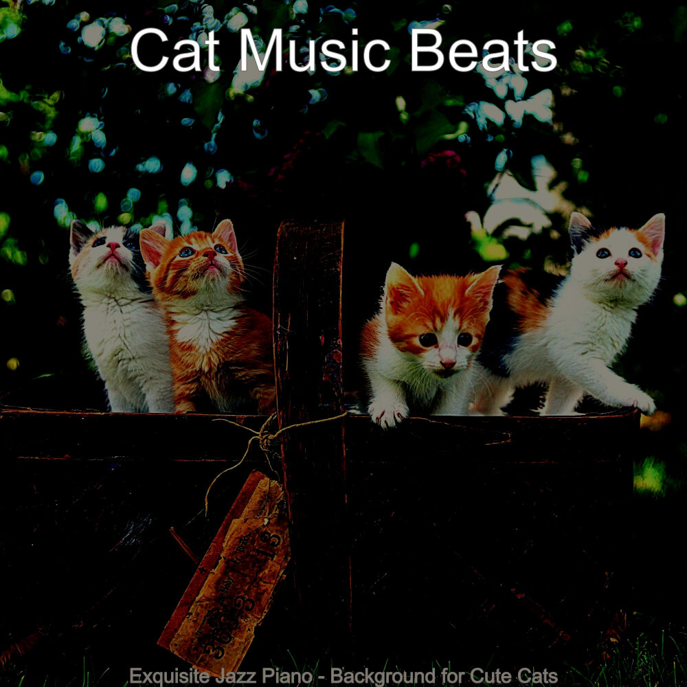 Kitty beats. Мелодия котят. Музыкальный альбом с кошкой. Кошка Кэт песня. Образ кошки и классическая музыка.