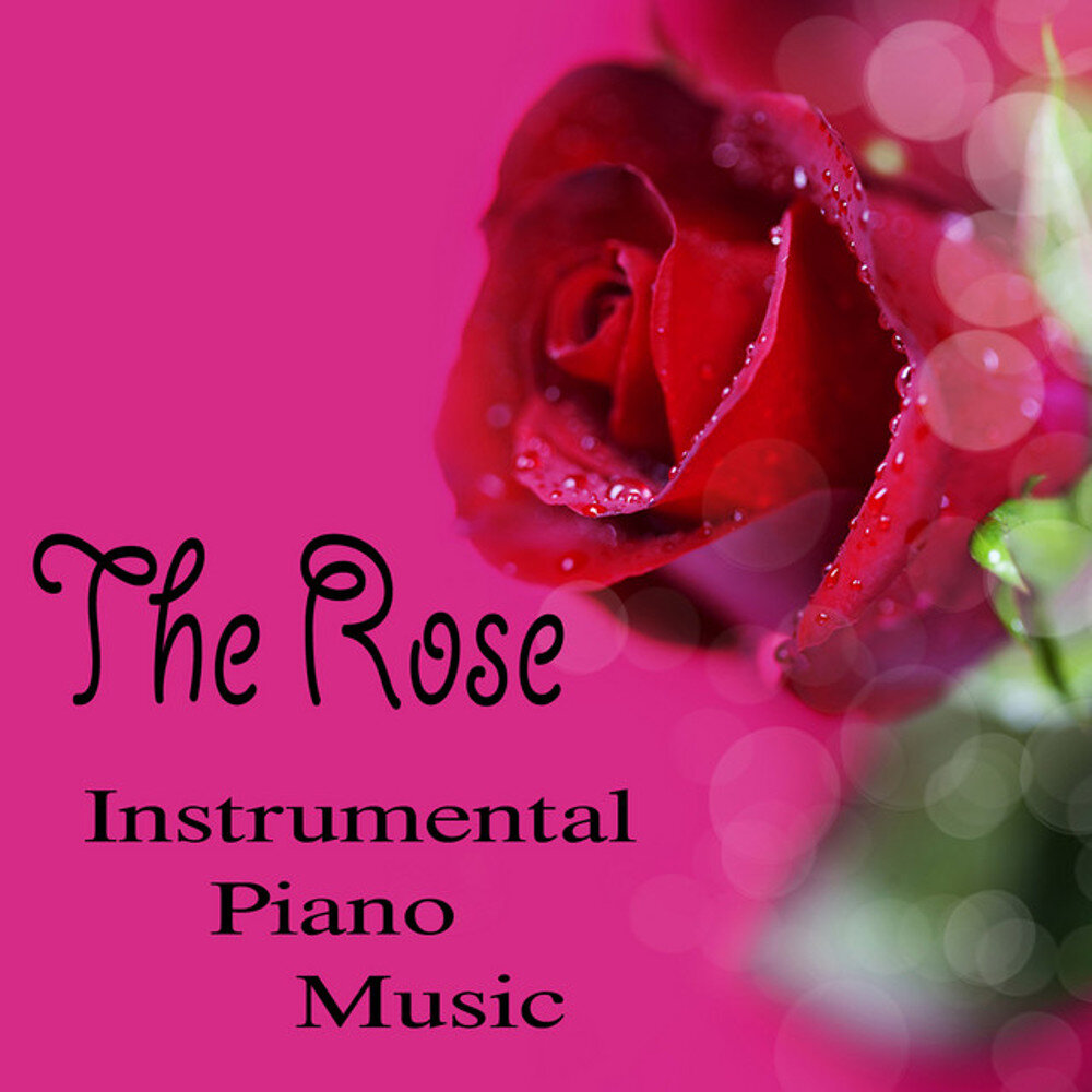 Instrumental rose