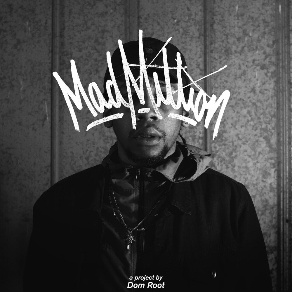 дерево с корнями наружу. корни дерева. корни дерева из бетона. пятерочка грайвороновская. причудливые корни деревьев.