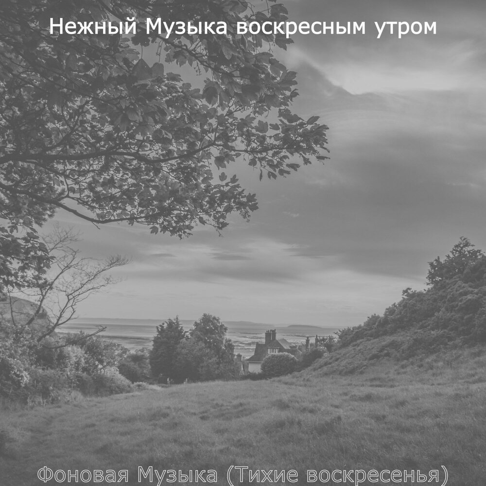 Утренняя нежная мелодия. Тихие и нежные мелодии. Песня Воскресное утро. Тихого воскресенья.