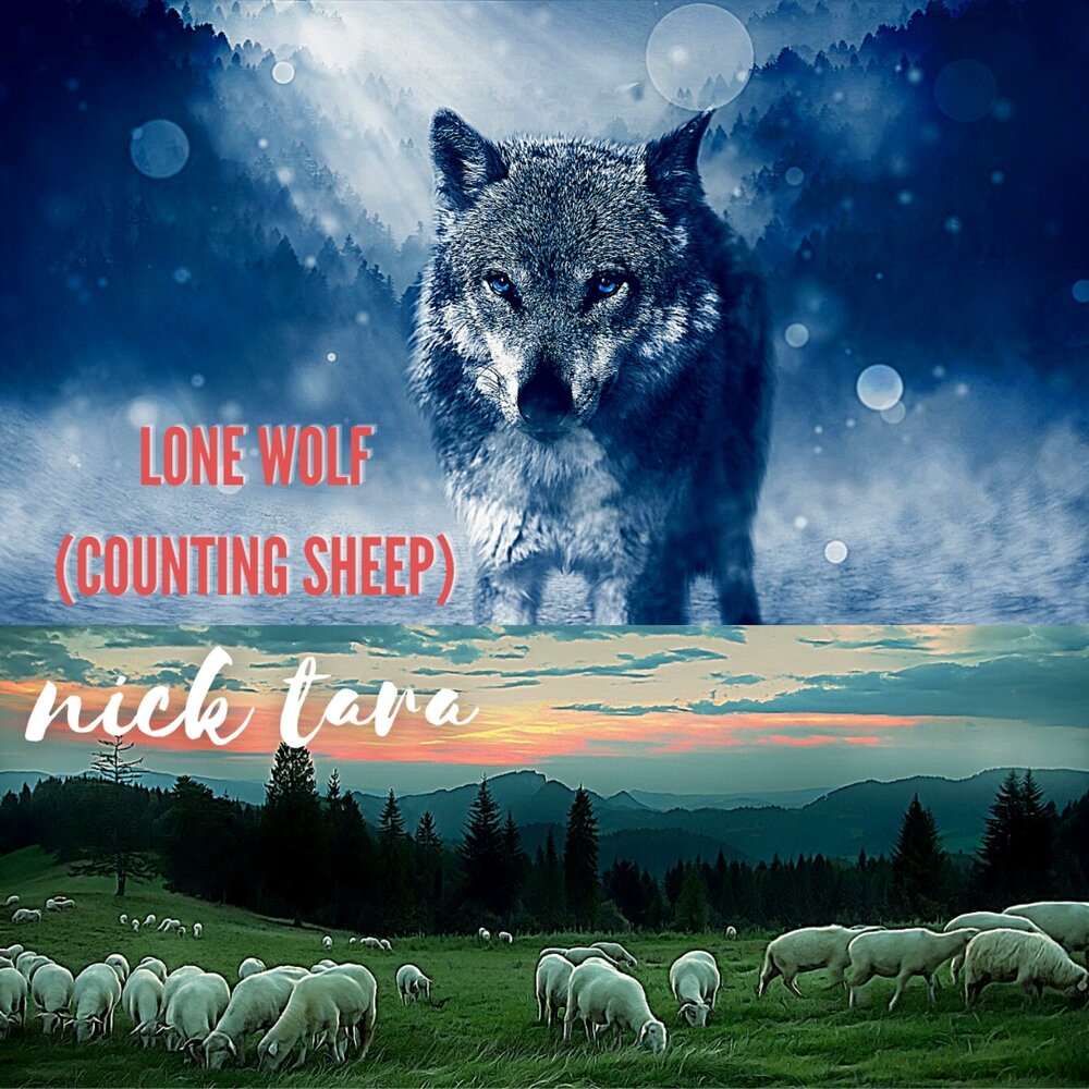 Counting Sheep... Code Wars.