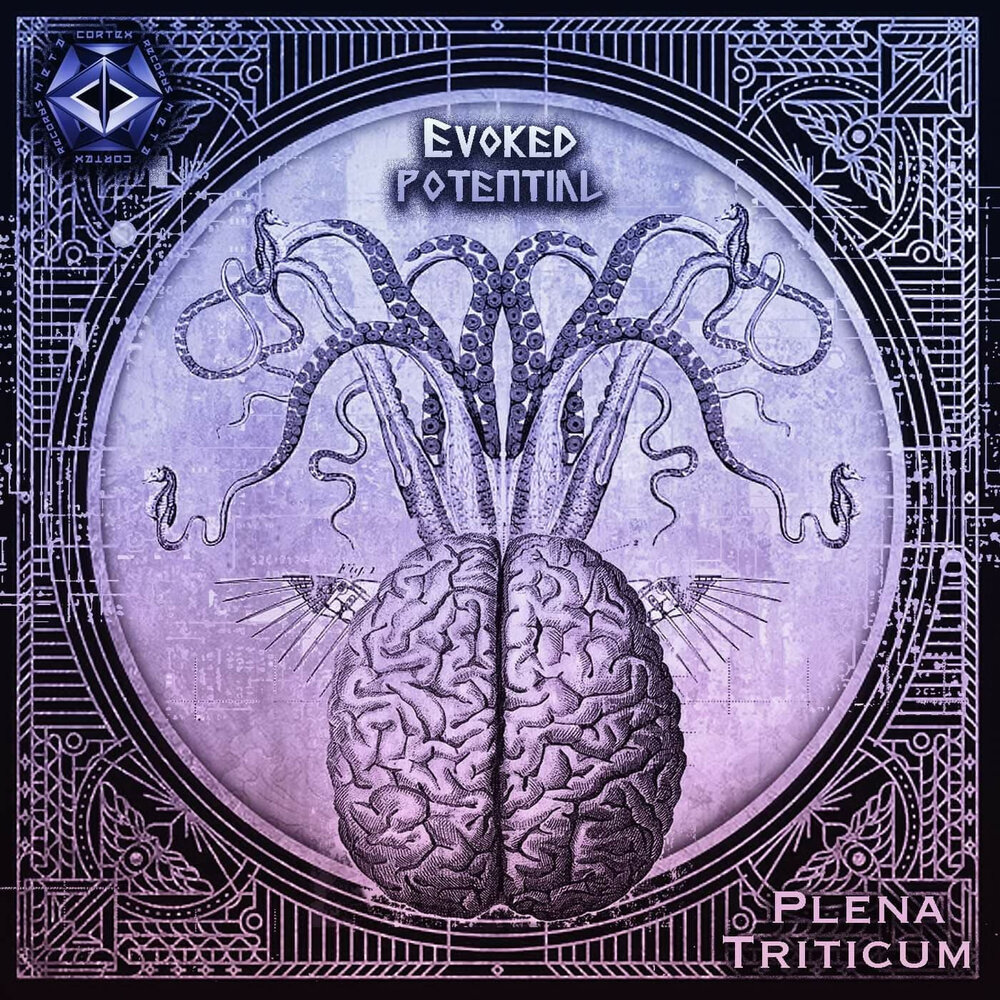 Triticum give it to me. When you go away triticum. Пшеница двузернянка однозернянка. Тритикум фото. Triticum give it to me.