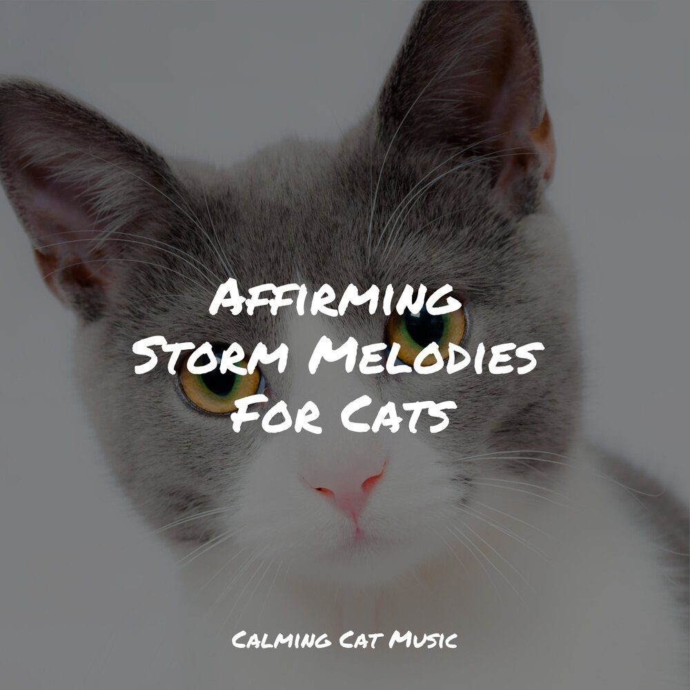 Music for cats. "Music for Cats" && ( исполнитель | группа | музыка | Music | Band | artist ) && (фото | photo). Fake Cats Project Dutzend.