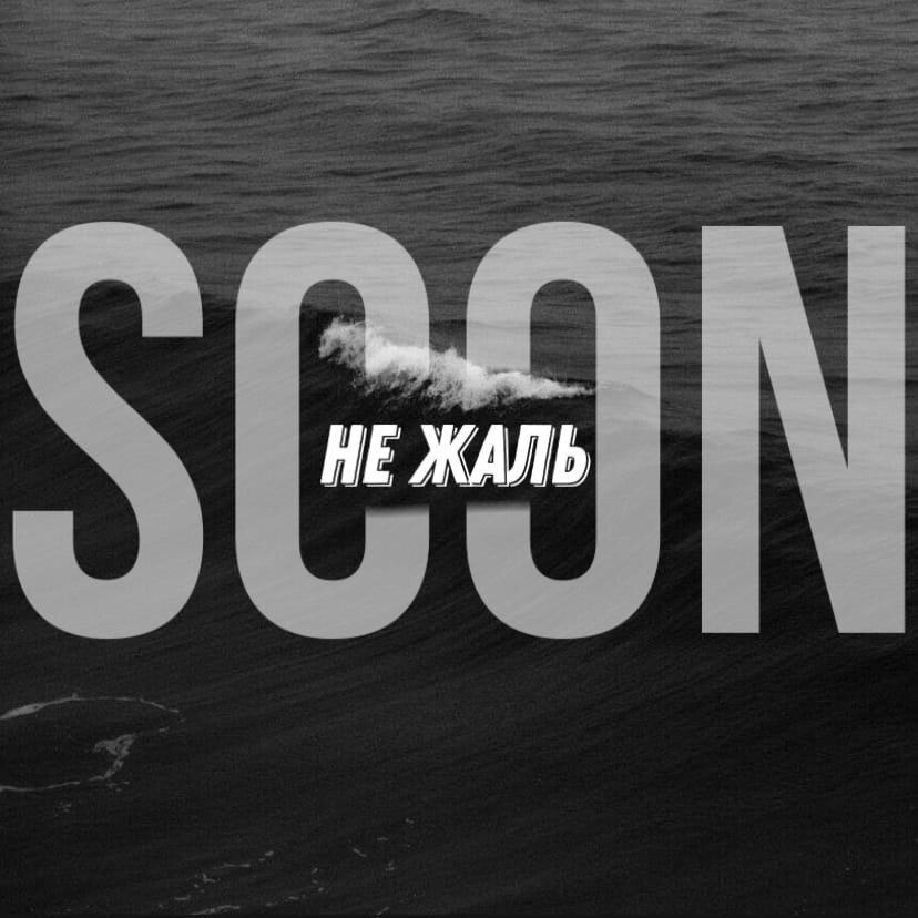 Yt fkm. Футболка никого не жаль. Футболка с пчелой мужская. 104 не жаль. Никого не жаль пчела футболка.