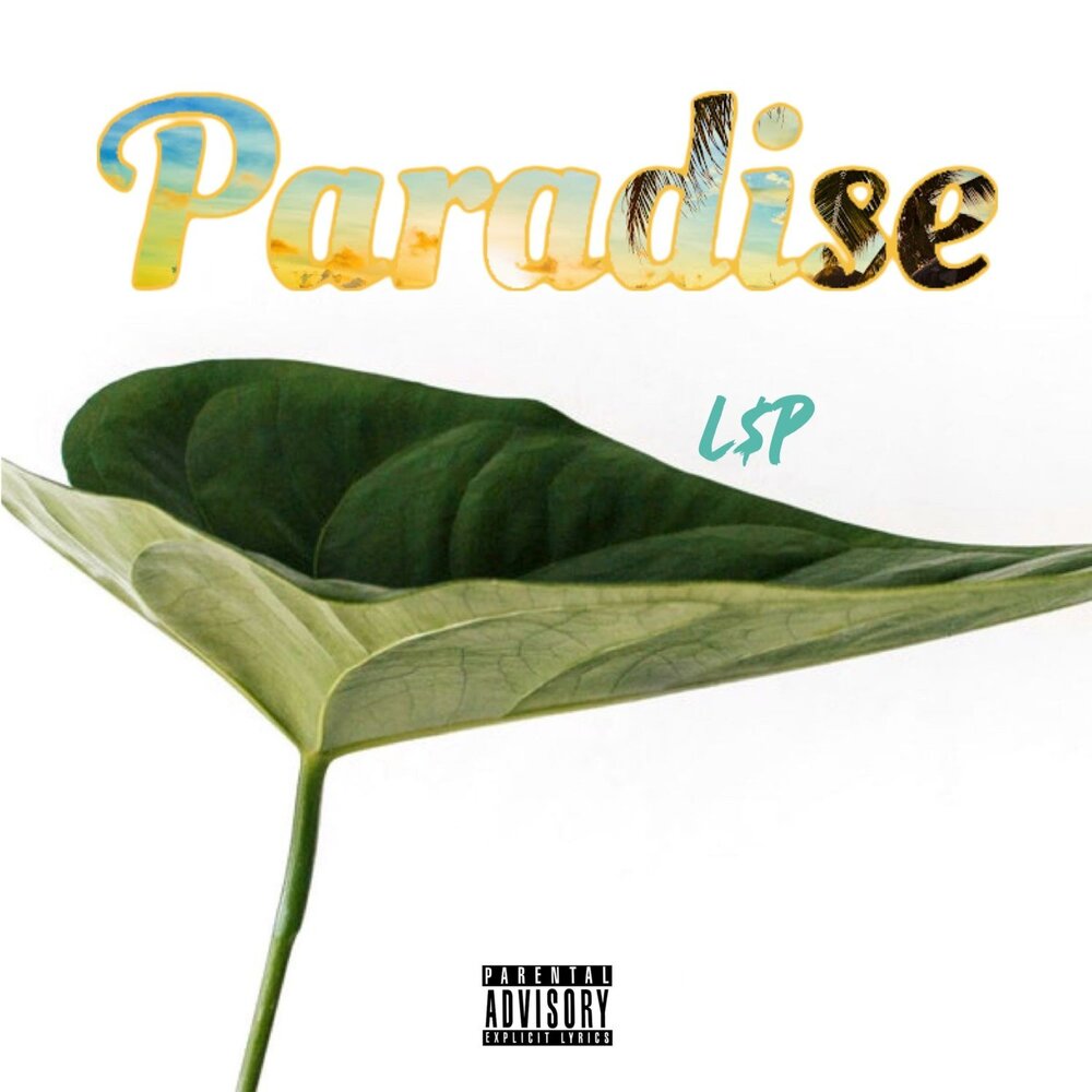 Paradise l