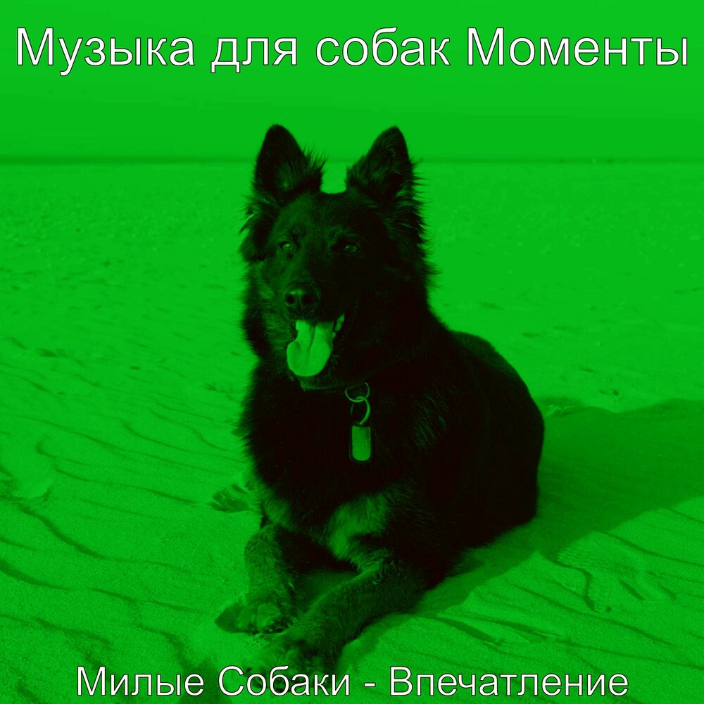 Музыка для собак. Мелодия собак. Песня про псину. Песни про собак. Звуки собак слушать.