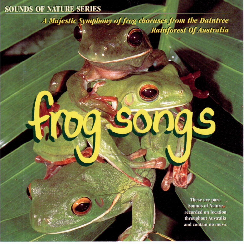 Frog песни. Перевод песни frog. Little green frog. Экопосёлка frog song. The bullfrog bounce ноты энди.