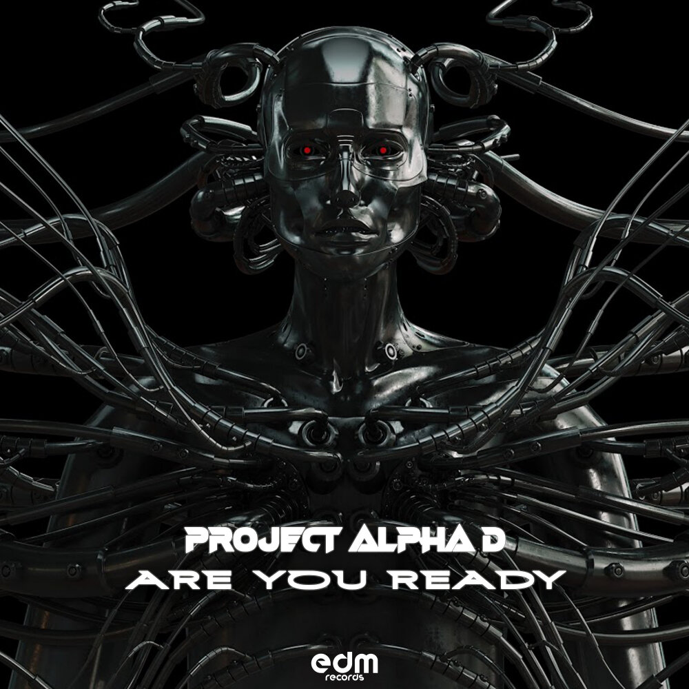 Ready project. Alpha Project. Ready Projects. THUNDERROBOT Alpha d.