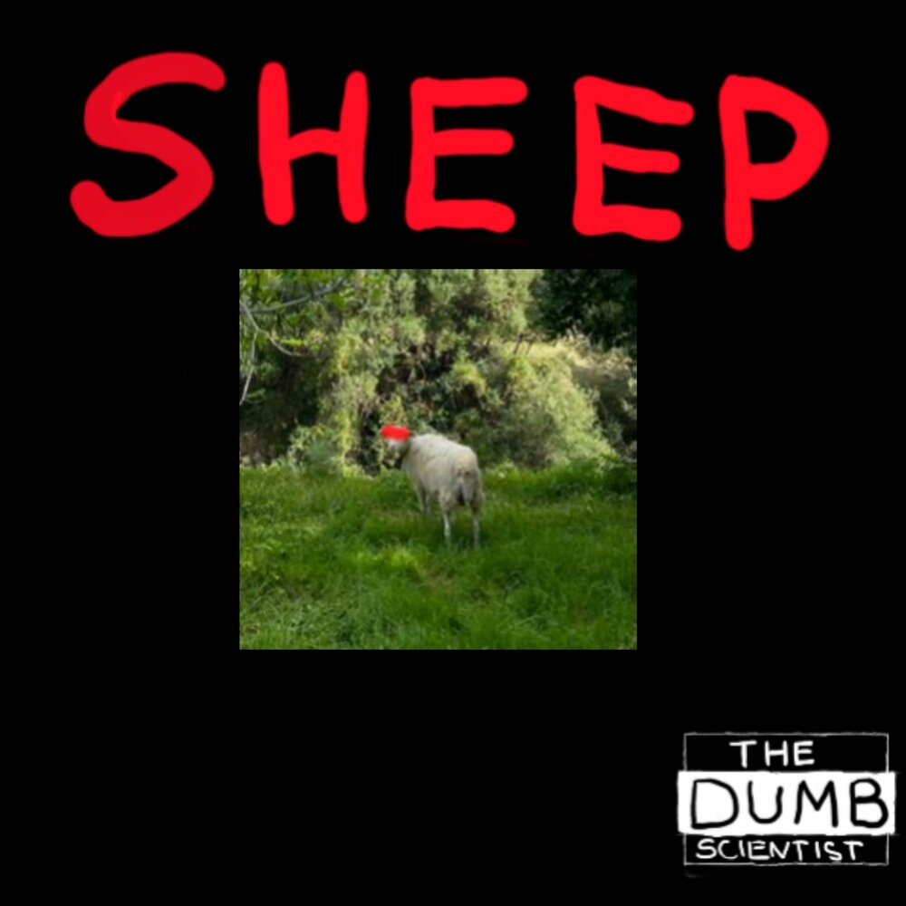 Sheep слушать