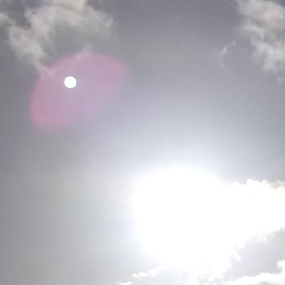 Three fields. Sparks albums. Three fields. Danger zone ps4. Three fields entertainment.