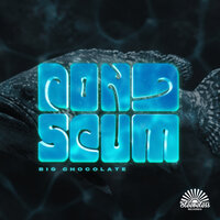 artist-cover